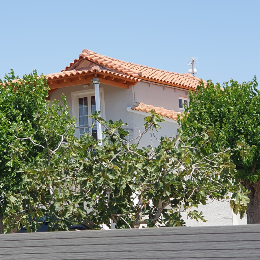 Ανώνυμο σχέδιο (19)